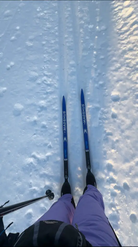 Trying cross country skiing at Koli National Park view of Holly's cross country skis from a birds eye view