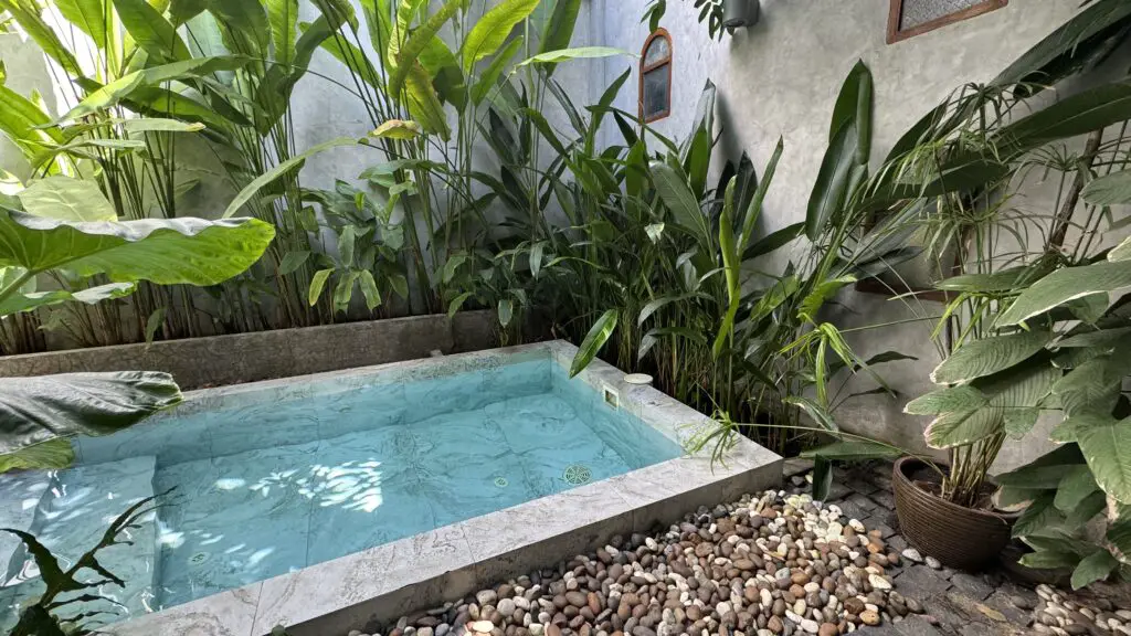 swimming pool at the hidden garden hostel chiang mai