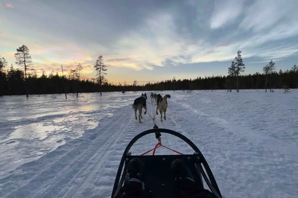 things to do in oulu in winter hucky sledding